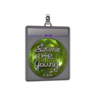 Sticker Slab | sdy (Foil) | Katowice 2019