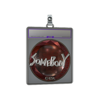 Sticker Slab | somebody (Foil) | Katowice 2019