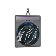 Sticker Slab | NAF (Foil) | Katowice 2019