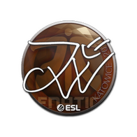 Sticker | JW | Katowice 2019