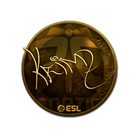 Sticker | KRIMZ (Gold) | Katowice 2019