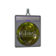 Sticker Slab | felps (Foil) | Katowice 2019