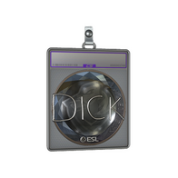 Sticker Slab | DickStacy (Foil) | Katowice 2019