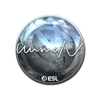 Sticker | aumaN (Foil) | Katowice 2019