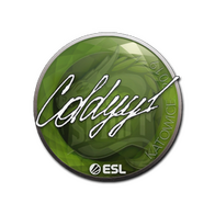 Sticker | COLDYY1 | Katowice 2019