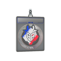 Sticker Slab | G2 Esports | Katowice 2019