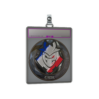Sticker Slab | G2 Esports (Foil) | Katowice 2019