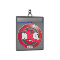 Sticker Slab | NRG | Katowice 2019