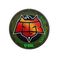 Sticker | HellRaisers (Holo) | Katowice 2019