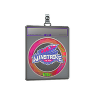 Sticker Slab | Winstrike Team (Holo) | Katowice 2019