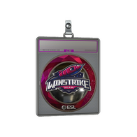 Sticker Slab | Winstrike Team (Foil) | Katowice 2019