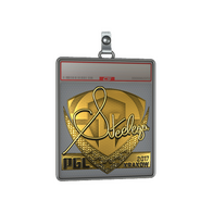 Sticker Slab | steel (Gold) | Krakow 2017
