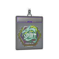 Sticker Slab | Team Spirit (Holo) | London 2018