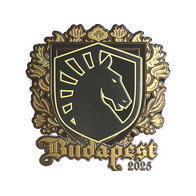 Sticker | Team Liquid (Gold) | Budapest 2025