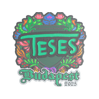 Sticker | TeSeS (Embroidered) | Budapest 2025
