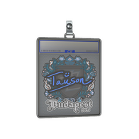 Sticker Slab | Tauson | Budapest 2025