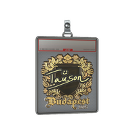 Sticker Slab | Tauson (Gold) | Budapest 2025