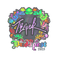 Sticker | Tiger (Holo) | Budapest 2025