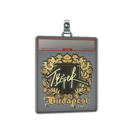 Sticker Slab | Tiger (Gold) | Budapest 2025