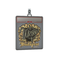 Sticker Slab | woxic (Gold) | Budapest 2025