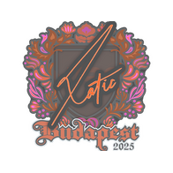 Sticker | XotiC | Budapest 2025