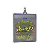 Sticker Slab | xKacpersky | Budapest 2025