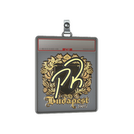 Sticker Slab | PR (Gold) | Budapest 2025