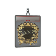 Sticker Slab | slaxz- (Gold) | Budapest 2025