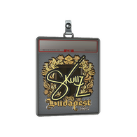 Sticker Slab | skullz (Gold) | Budapest 2025