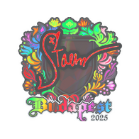 Sticker | Staehr (Holo) | Budapest 2025