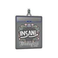 Sticker Slab | insani | Budapest 2025