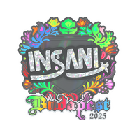 Sticker | insani (Holo) | Budapest 2025