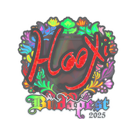 Sticker | HooXi (Holo) | Budapest 2025