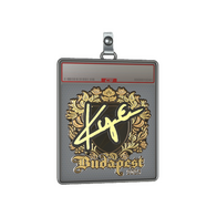 Sticker Slab | kye (Gold) | Budapest 2025