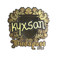 Sticker | kyxsan (Gold) | Budapest 2025