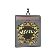 Sticker Slab | kauez (Gold) | Budapest 2025