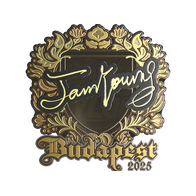 Sticker | JamYoung (Gold) | Budapest 2025
