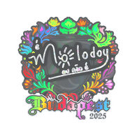 Sticker | molodoy (Holo) | Budapest 2025