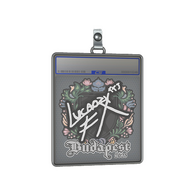 Sticker Slab | Lucaozy | Budapest 2025