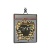 Sticker Slab | FlameZ (Gold, Champion) | Budapest 2025