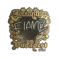Sticker | FlameZ (Gold, Champion) | Budapest 2025