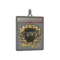 Sticker Slab | FlameZ (Gold) | Budapest 2025