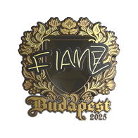 Sticker | FlameZ (Gold) | Budapest 2025