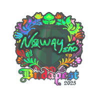Sticker | noway (Holo) | Budapest 2025