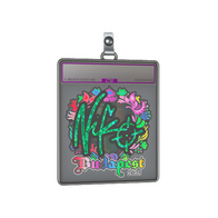 Sticker Slab | NiKo (Holo) | Budapest 2025