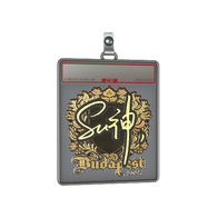 Sticker Slab | C4LLM3SU3 (Gold) | Budapest 2025