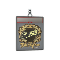 Sticker Slab | bodyy (Gold) | Budapest 2025