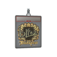 Sticker Slab | bLitz (Gold) | Budapest 2025