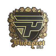 Sticker | paiN Gaming (Gold) | Budapest 2025