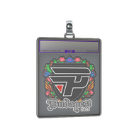 Sticker Slab | paiN Gaming (Embroidered) | Budapest 2025